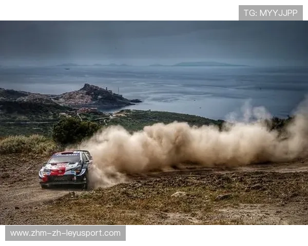 精准制胜:WRC车载摄像头捕捉精彩瞬间,车载camera 精准制胜:WRC车载摄像头捕捉精彩瞬间,车载camera