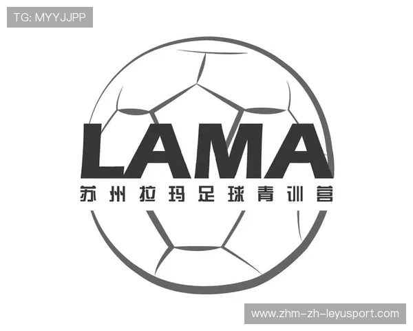 2026年足球青训导师带教规范化手册第五版修订稿征求意见，足球职业青训营