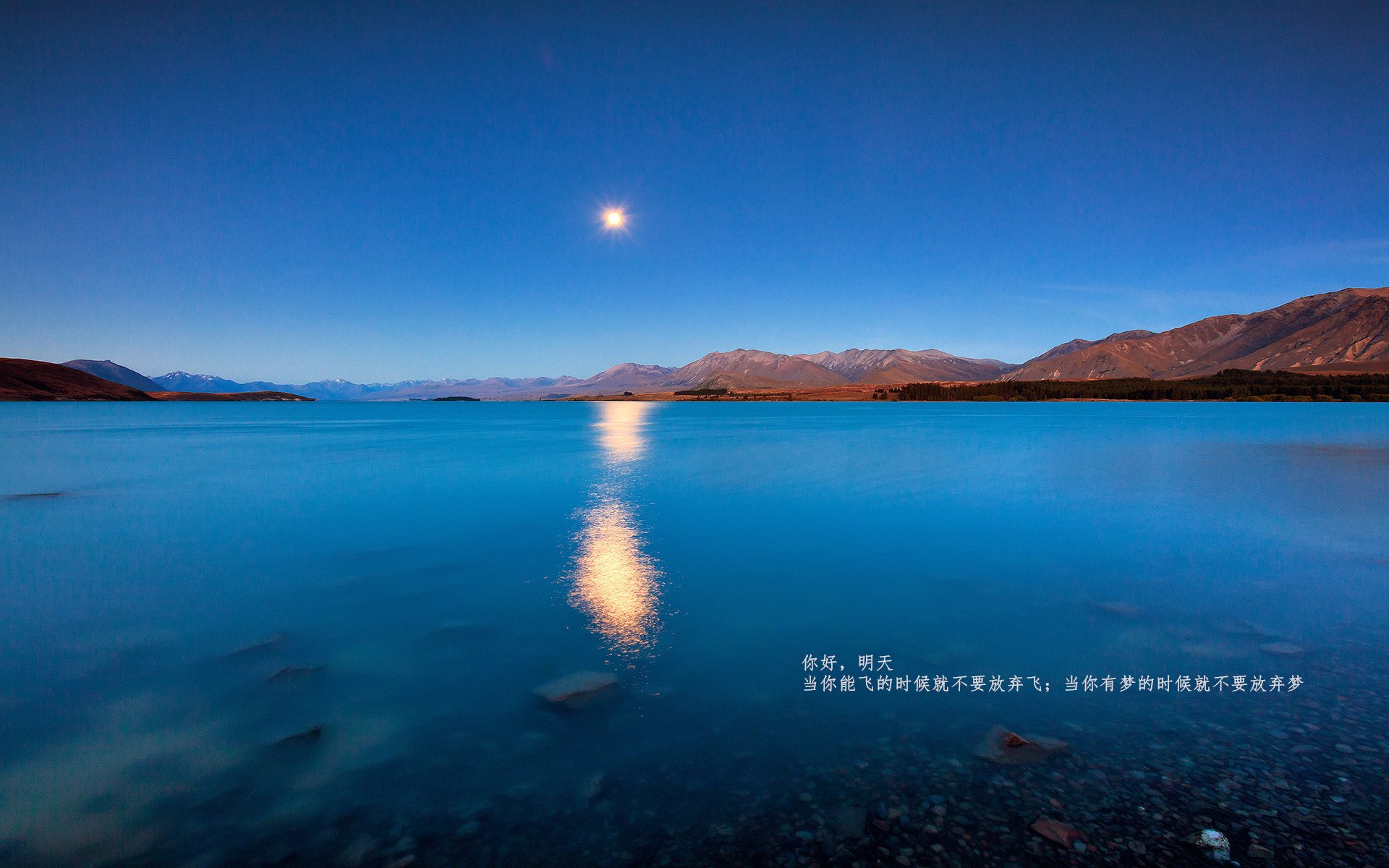 乐鱼体育app官网下载-五大联赛转会窗口期后成绩波动是否更明显，五大联赛转会截止