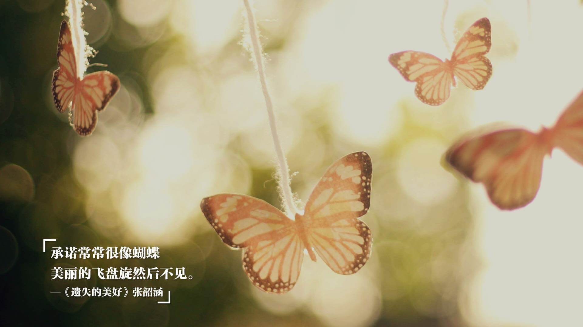 乐鱼体育网址入口-亚洲杯中国女足惨败 球迷反思球队问题，中国女足亚洲区预选赛