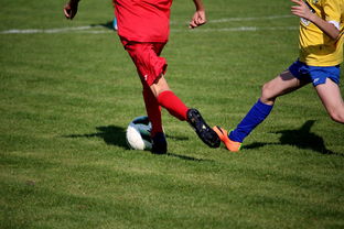 乐鱼app下载-仰泳大战美队领先毫厘之间，仰泳比赛视频欣赏